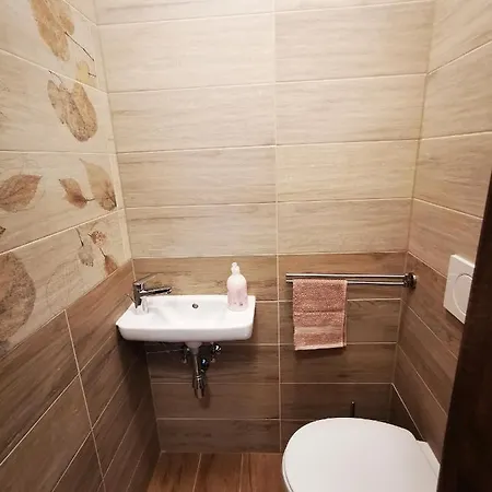 Ohana Wellness Apartment *